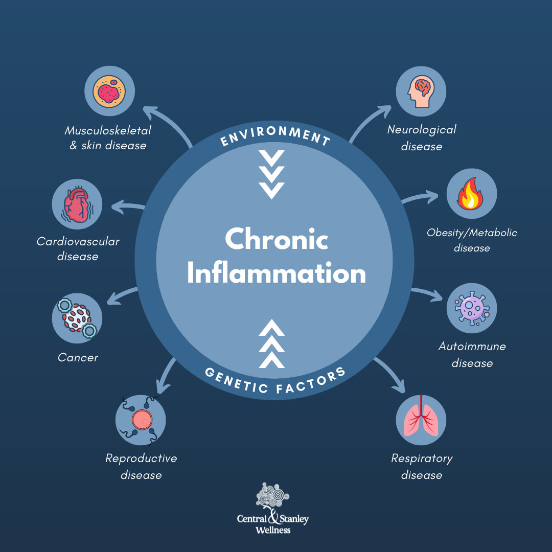 Chronic inflammation linked diseases nutritionist Puja Kumari Central and Stanley Wellness